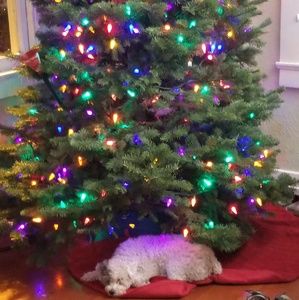 Meet your Posher, Jill